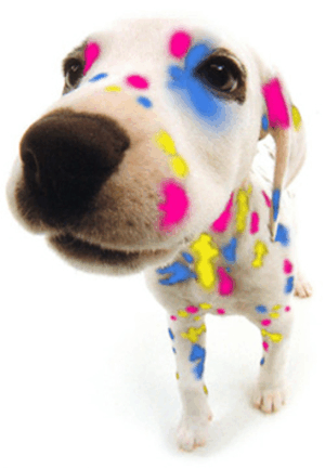 digital printing, colour dog, spots of colour, printing effect